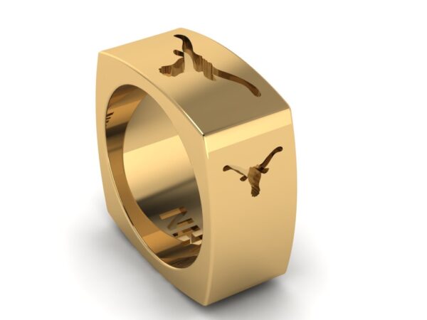 Custom Brand Ring - Image 5