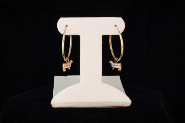 Kansas City Earrings