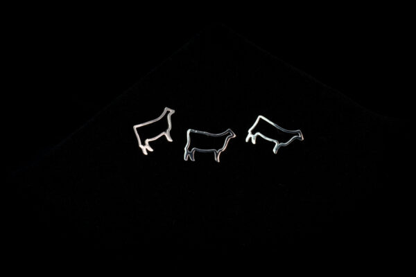 Mason Cows