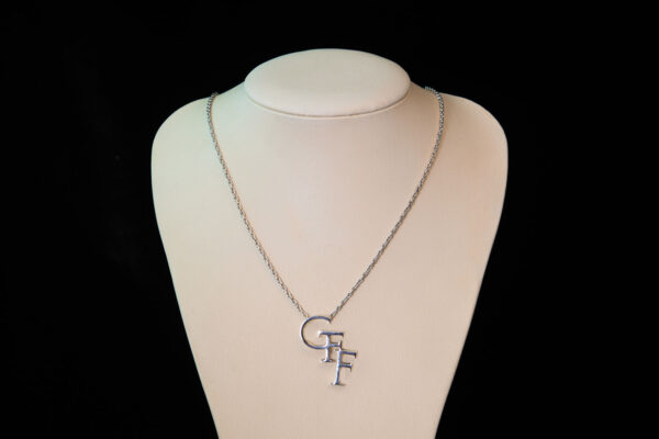 The CFF - Image 4