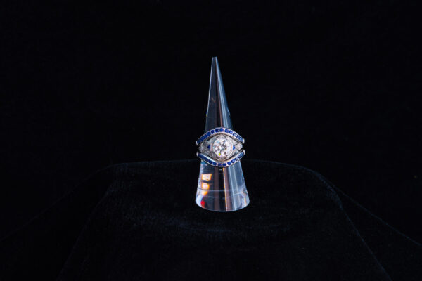 The Blue Duchess - Image 4