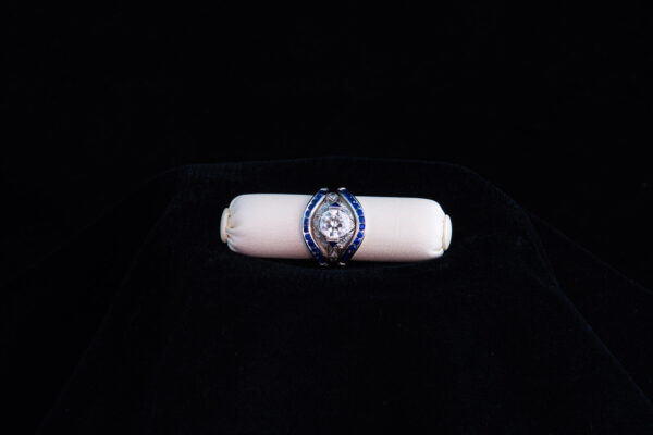 The Blue Duchess - Image 5