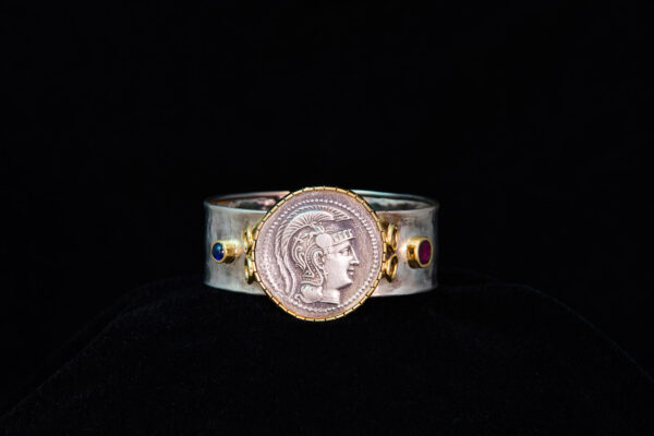 The Family Coin - Image 2