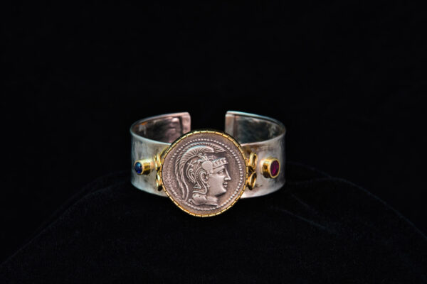 The Family Coin - Image 4